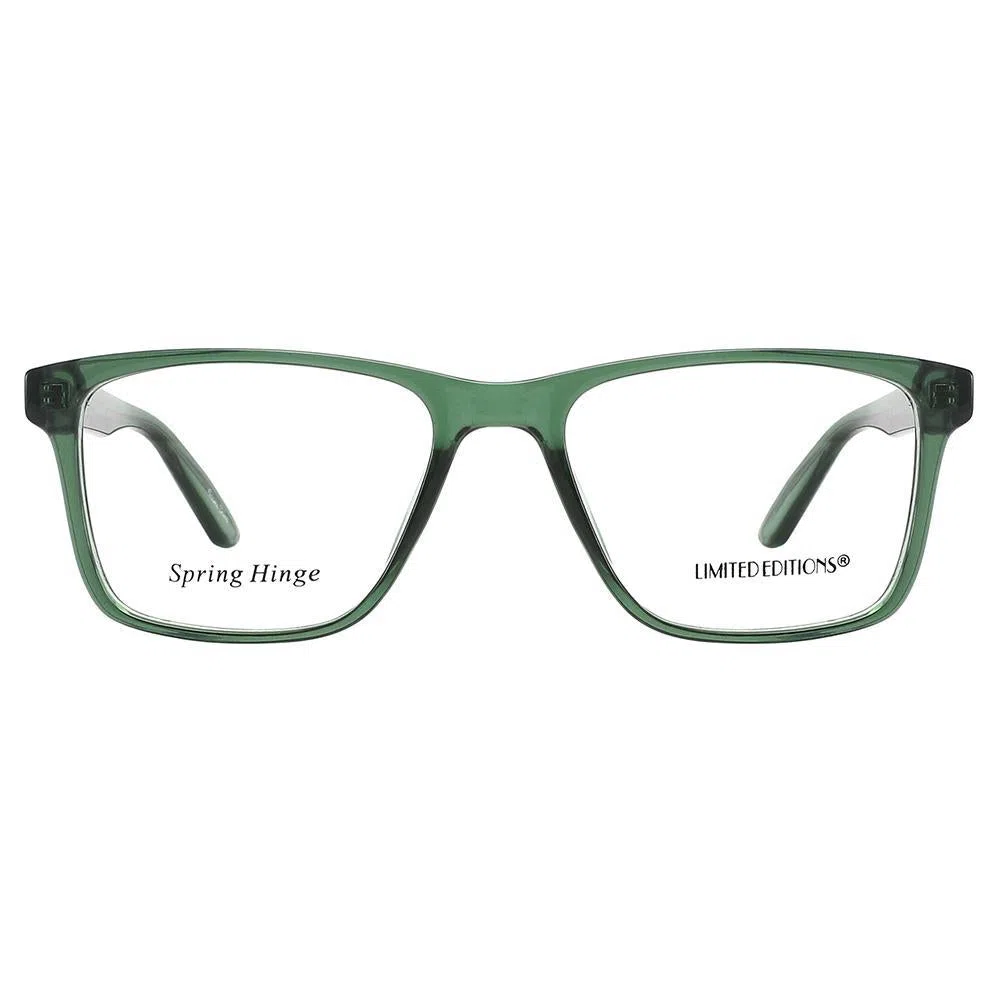 LIMITED EDITIONS 2254 Eyeglasses - view 4
